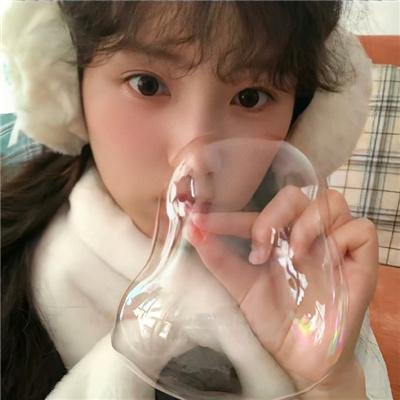 拜访森林