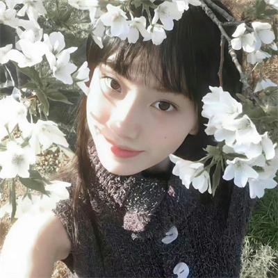 快乐的小鸡